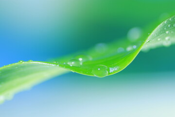水滴