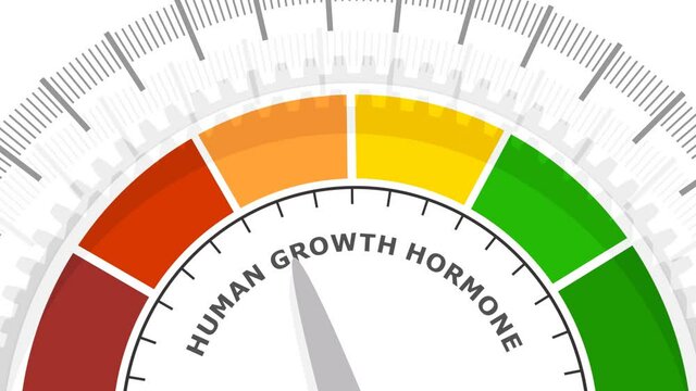 Gradient scale. Growth hormone level measuring device icon. Sign tachometer, speedometer, indicators. Infographic gauge element. 3D rendering.