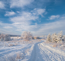 Snowy road at  winter Stone Hill park in frosty sunny evening. Winter country road with fir forest in the rays of cold winter Sun.