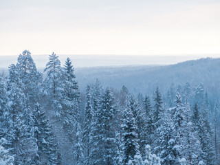 Panorama of winter Stone Hill park in sunlight. Snow-covered conifer forest on a high hill in frosty winter day. Frozen grass and trees in the rays of cold winter Sun.
