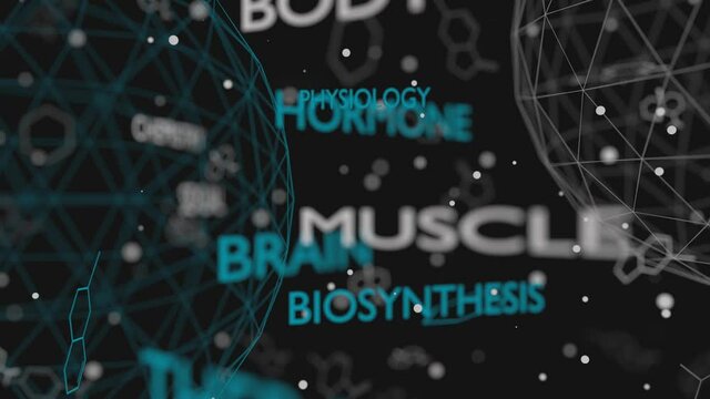 Tags cloud of hormone testosterone. Words collage.