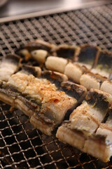숯불에 굽고있는 장어구이 Grilled eel over charcoal fire