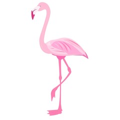 pink flamingo. tropical bird. bird of paradise. stock vector illustration with flamingos on a white background.