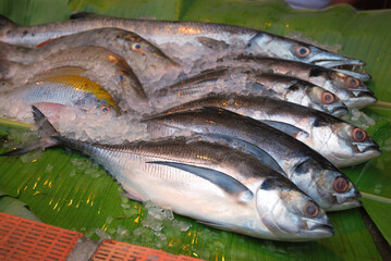 Fresh mackerel fish in market , Sea fish mackerel pile top view.