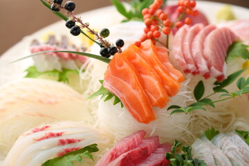 스시 사시미 초밥 생선 sushi sashimi