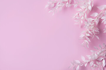 Fototapeta na wymiar Frame of white branches on a pink background