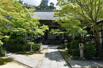 Fototapeta premium 西明寺 本堂 京都市