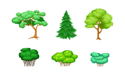 Trees with Exuberant Green Foliage and Trunk Vector Set