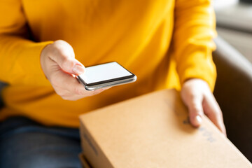 Home shopping and home delivery concept. Female hand holding smartphone with blank screen at home