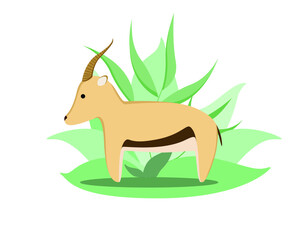 Cute gazelle on the background of green leaves. Safari Animals