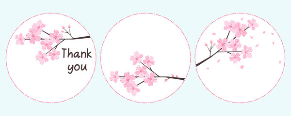 Fototapeta premium Pink Sakura flowers branch on a white background vector illustration.