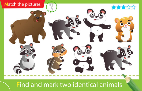 Find and mark two identical animals. Puzzle for kids. Matching game, education game for children. Color images of animals. Panda, raccoon, chipmunk, badger, bear