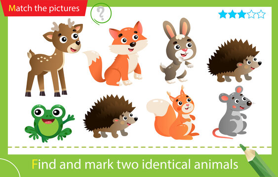 Find and mark two identical animals. Puzzle for kids. Matching game, education game for children. Color images of wild animals. Hedgehog, fox, frog, mouse, squirrel, deer, hare
