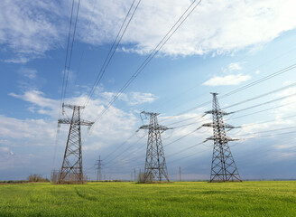 power lines in the spring in a green wheat field