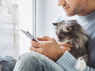 Adorable, charming kitten in the hands of a caring owner. Close-up, indoors. Studio photo. Pets...