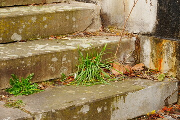 Green grass grows on old dilapidated dirty stone stairs