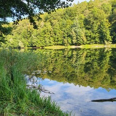 Natur Brandenburg, Remo Masche