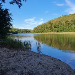 Natur Brandenburg, Remo Masche