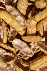 closeup of boiled peanuts shell
