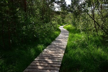 Marshland Nature Reserve Borkovice is a protected area near Tabor in Borkovice, South Bohemian Region, Czech Republic.