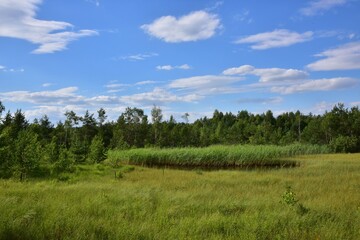 Marshland Nature Reserve Borkovice is a protected area near Tabor in Borkovice, South Bohemian Region, Czech Republic.