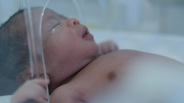 Baby, newborn in infant incubator. Measuring pulse, heartbeat 