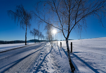 Bäume Winter Straße Weg Allee Sonne Birken Arnsberg Schnee Oelinghausen Frost Sauerland...