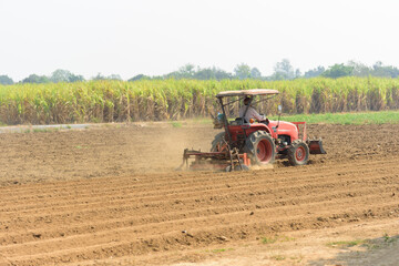 Farmer drive the Tractor Plow the soil for prepair sapling the vegetable