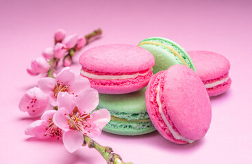 Obraz na płótnie Canvas Colorful sweet macarons or macaroons, different flavored cookies on pink background with blooming cherry branch near them.