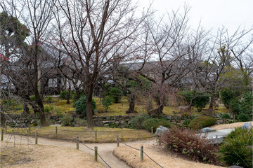 Fototapeta na wymiar Traditional Japanese garden in Shitennoji temple in Osaka, Japan