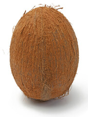 Coco isolated on the white background. High Quality