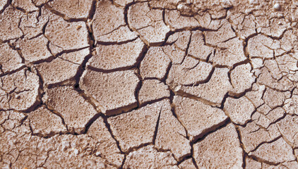 Cracked and Arid Mud Ground Dry without water