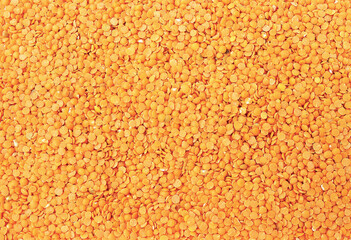 Toor dal, famous Indian legume also called yellow Pigeon peas