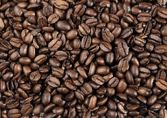 elite coffee beans background