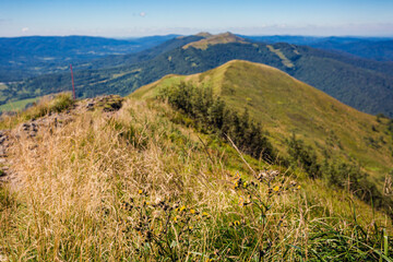 Polonina Carynska path in Bieszczady