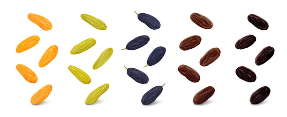 Jumbo golden, green Kashmari, blue, brown Thompson and black Flame raisins hang in the air isolated on white background. Realistic vector illustration.
