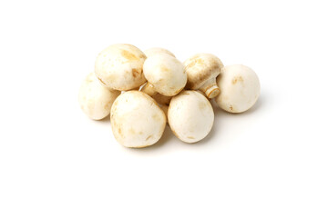 White mushrooms. Champignons isolated on a white