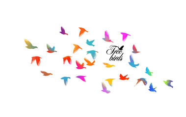 Bird watercolor. A flock of colorful birds. Mixed media. Vector illustration