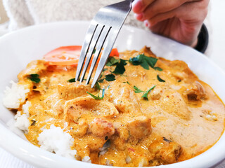 Handmade Indian curry chicken rice