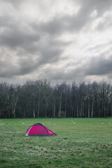 Red small tent on a green field in a park, Dark moody sky. Vertical image