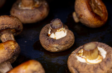 Baked mushrooms champignons in the oven.