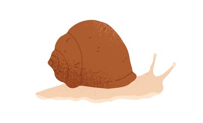 Slow and slimy snail with spiral shell crawling. Hand-drawn slug animal or snailfish. Colored flat textured vector illustration isolated on white background © Good Studio