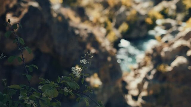 Hadim Yerkopru Waterfall. Konya Turkey.
the camera turns to the waterfall with soft focus.