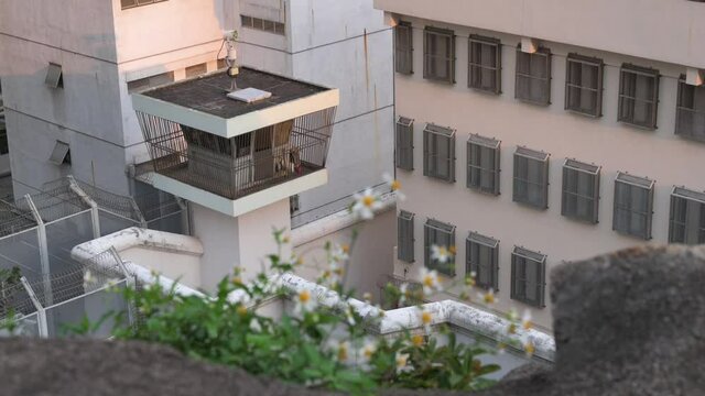 Flowers are seen near the male correctional detention Centre as a security watchtower is seen in the background in Hong Kong.