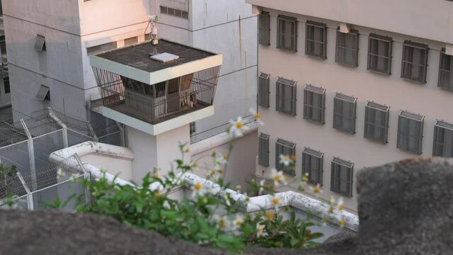 Flowers are seen near the male correctional Lai Chi Kok Reception Centre as a security watchtower is seen in the background in Hong Kong.