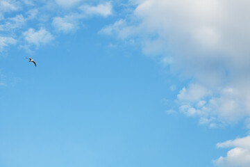.Blue sky with clouds. Sky background