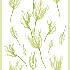 Fototapeta na wymiar Watercolor seamless pattern with green underwater plants and vertical stripes on a white background. For wallpaper, paper, packaging, textiles, fabrics, curtains, bedding