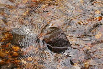 close up of a stone in the forest stream which causes waves