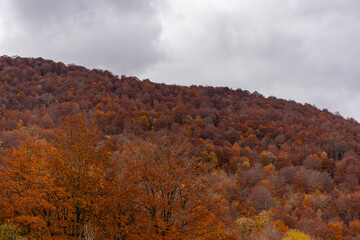 Fototapeta premium autumn in the mountains