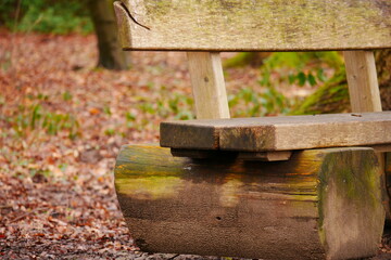 close up of a wooden bench in the forest